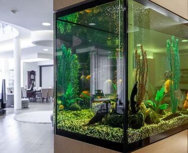 Aquarium-Umzug Singen Aquarium-Umzug Singen: Großes Aquarium in einem modernen Wohnzimmer
