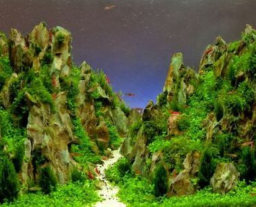 Aquarium-Umzug Singen Aquarium-Umzug Singen: Aquarium mit Felslandschaft und Pflanzen
