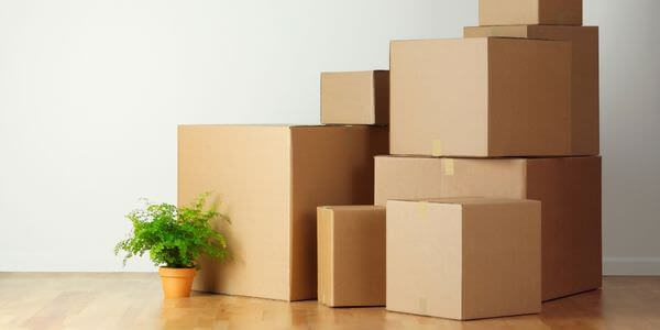 Gestapelte Kartons neben einer Zimmerpflanze